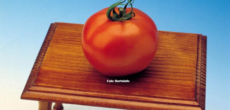 tomate mesa 785